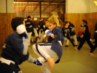 yoseikan-2