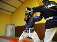 yoseikan