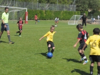 pitchouns-075