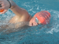 natation-27